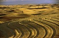 Paysage de cultures céréalières après la moisson dans l'état de Washington  (USA). Champ ; céréale ; moisson ; été ; culture ; USA ; Amérique du Nord 