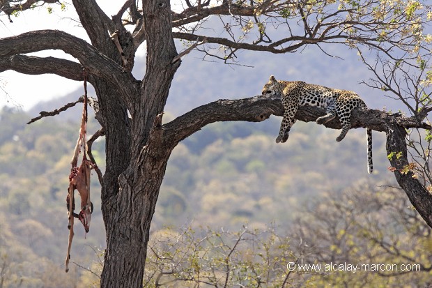 Réserve de chasse