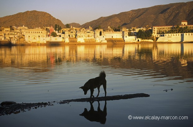 Soleil couchant sur le lac de Pushkar en Inde