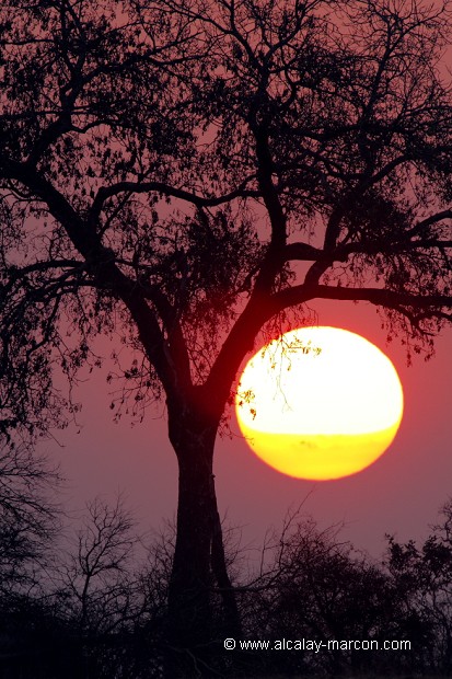 Coucher de soleil
